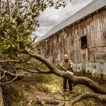 Stihl MS 362 Chainsaw | 20