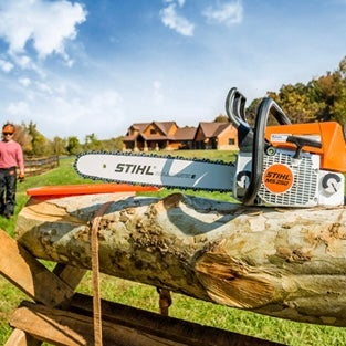 Stihl MS 250 Chainsaw | 18